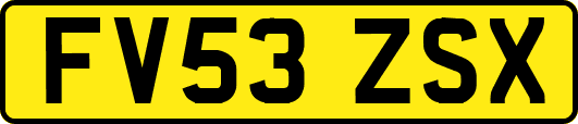 FV53ZSX