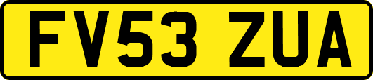 FV53ZUA