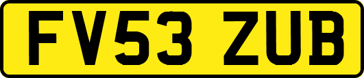 FV53ZUB