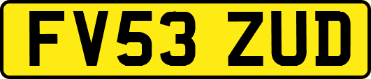FV53ZUD