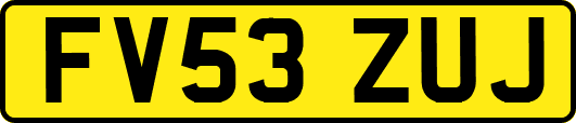 FV53ZUJ