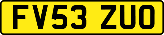 FV53ZUO