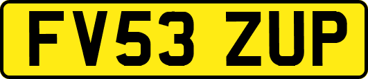 FV53ZUP