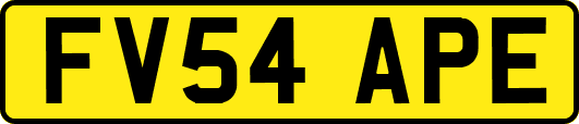 FV54APE