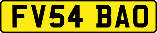 FV54BAO