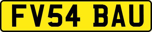 FV54BAU