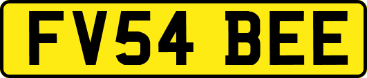 FV54BEE