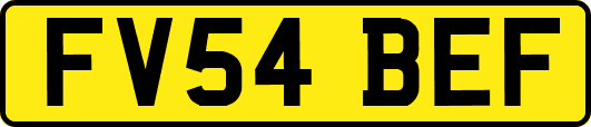 FV54BEF
