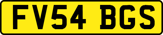 FV54BGS