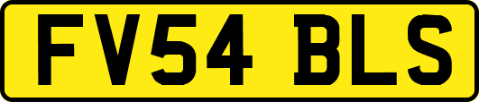 FV54BLS