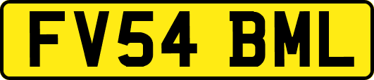 FV54BML