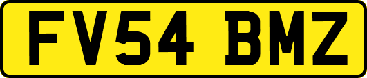 FV54BMZ