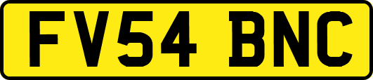 FV54BNC