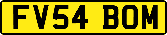 FV54BOM