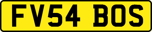 FV54BOS