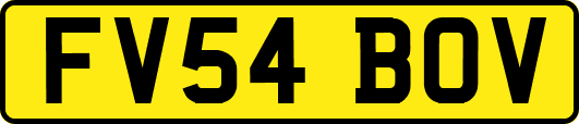 FV54BOV
