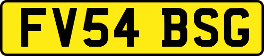 FV54BSG