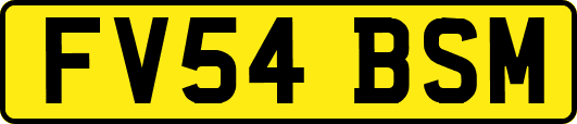 FV54BSM