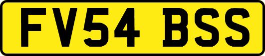 FV54BSS