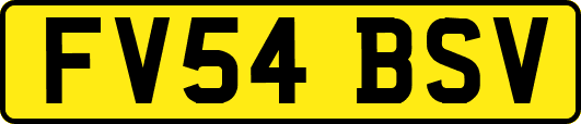 FV54BSV