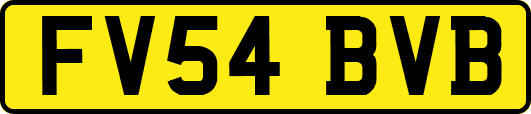 FV54BVB
