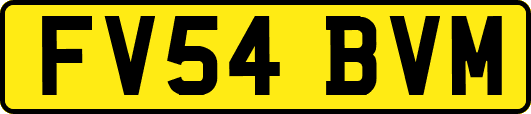 FV54BVM