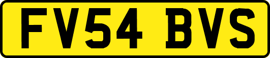 FV54BVS