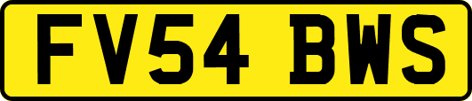 FV54BWS