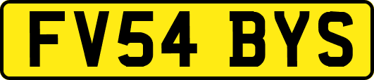FV54BYS