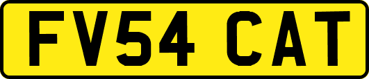 FV54CAT