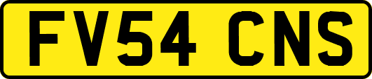 FV54CNS