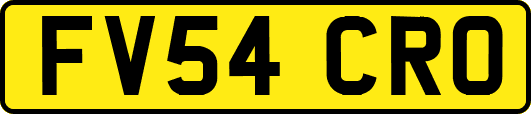 FV54CRO