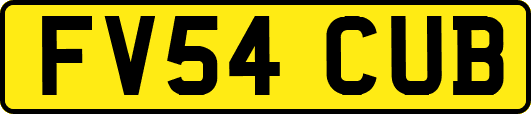 FV54CUB