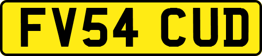 FV54CUD