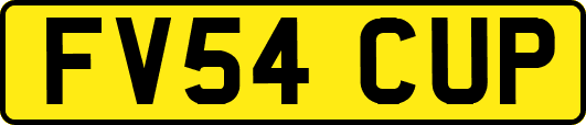 FV54CUP