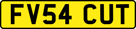 FV54CUT