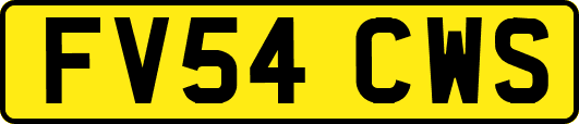 FV54CWS