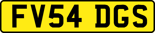 FV54DGS