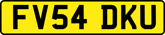 FV54DKU