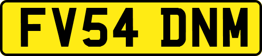 FV54DNM