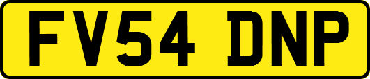 FV54DNP
