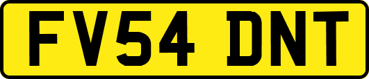 FV54DNT