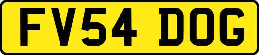 FV54DOG