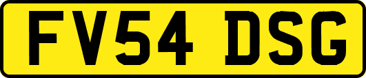FV54DSG