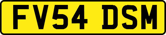 FV54DSM