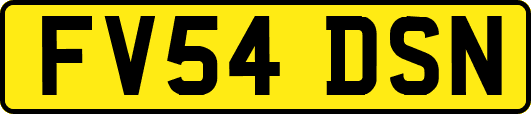 FV54DSN