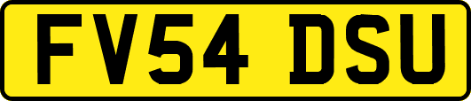 FV54DSU