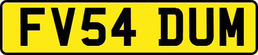 FV54DUM