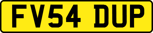 FV54DUP