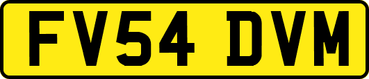 FV54DVM